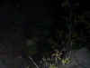 SANY0099.JPG